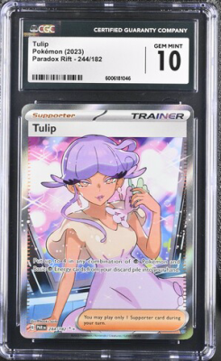Tulip