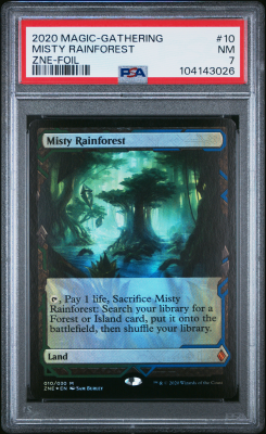 Misty Rainforest