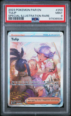 Tulip
