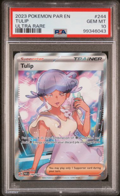 Tulip